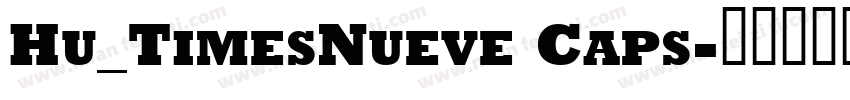 Hu_TimesNueve Caps字体转换